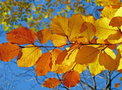 Новая неделя в Анапе начнётся с солнечной погоды