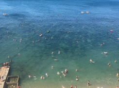 В День Рождения Чебурашки в Анапе солнечно