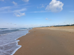 Стали известны результаты утреннего мониторинга 8 апреля