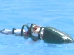 В Анапе показали «сома-терминатора», робота-контразведчика и распознавателя инфекций