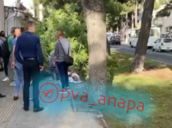 Дерево упало на женщину в центре Анапы