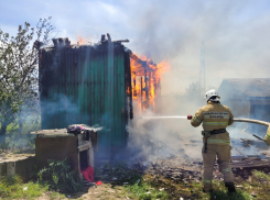 Пожары, подпольные казино и шашлык из дельфина: чем запомнится эта неделя анапчанам