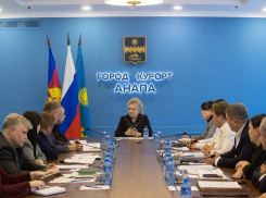 Мэр Анапы обсудила с главами сельских округов развитие муниципалитета