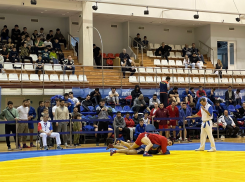 В Анапе проходит патриотический турнир по самбо имени Героя России