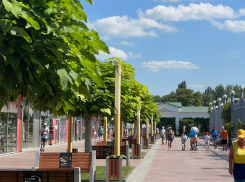 В День вспоминания любимых книжек в Анапе будет жарко 