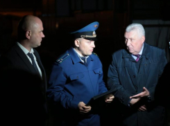 Оперативники установили того, кто поджог Анапские плавни