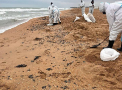 Новые фрагменты мазута вынес шторм на береговую полосу Анапы  