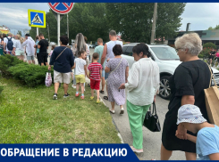 «Никакого контроля»: в Анапе очередь в дельфинарий выстроилась прямо на проезжей части
