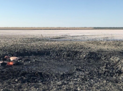 Секреты Солёного озера под Анапой: как природная грязь прославила курорт на всю страну?