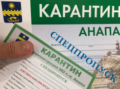 Реестр предприятий Анапы, которым разрешили работать во время карантина