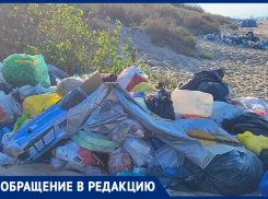 «Люди – свиньи: даже отдаленные пляжи Благовещенской превратили в помойку»