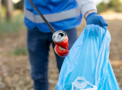 Мусор будет вывезен: службы обязали правообладателя земельного участка ликвидировать свалку
