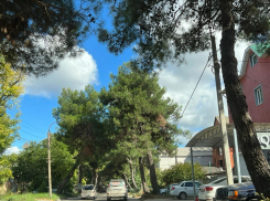 День работников заповедного дела порадует анапчан солнечной погодой