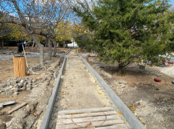 Парк «Ореховая роща» продолжают благоустраивать 