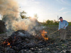 Любителей сжигать мусор на плавнях и в Утрише будет выслеживать «Безопасный город»