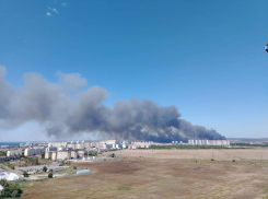 Крупный пожар заставил перекрыть часть дороги в Анапе