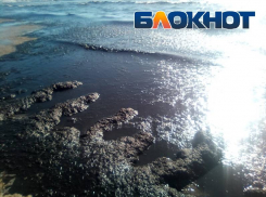 Почему море в Анапе почернело – поясняет эколог