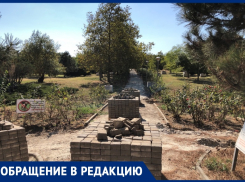 «Всё порождает безнаказанность»: в парке «Ореховая роща» не ведутся работы и продолжают гибнуть деревья