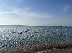 В Международный день Матери-Земли будет солнечно