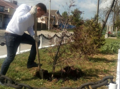 Места захоронений героев ВОВ в Анапском районе приводят в порядок