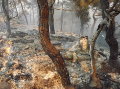 В Утрише горел лес, а в Анапе фура насмерть сбила велосипедиста