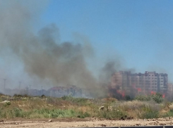 В Анапе горели 500 квадратных метров поля