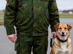 В России в армию теперь будут призывать круглый год