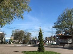 В День любви к деревьям в Анапе в основном солнечно