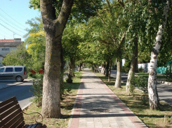 Анапчанка Тамара Жердина благодарит депутата Александра Дмитрова за его добрые дела