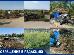 Городское кладбище в Анапе заросло амброзией и погрязло в мусоре