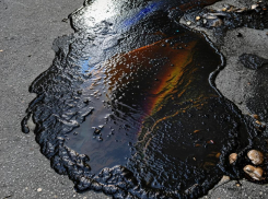 Эколог высказал мнение, куда делось пятно из мазута в 900 тонн 