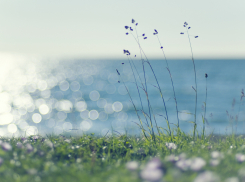 5 июля в Анапе тепло и ветрено