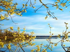 Сегодня в Анапе тепло, до +8