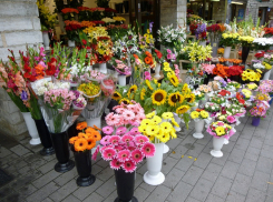 Вроде и не 8 Марта: в Анапе срезанные цветы могут подорожать