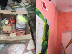 Прокуратура нашла в столовых детских учреждений Анапы плесень и просроченные продукты