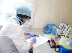 В Анапе выявили еще 26 новых случаев заболеваний COVID-19, в крае – 885