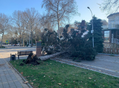 Что натворил ночной ураган в Анапе