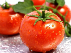 В октябре на прилавках Анапы появятся запрещённые помидоры из Турции