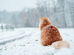 Сегодня, 27 февраля, в Анапе снова холодно 