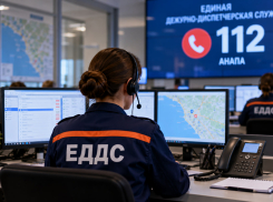 В Анапе за неделю поступило почти 5,5 тысячи вызовов в ЕДДС