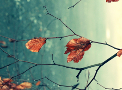 6 ноября в Анапе ясно, но прохладно