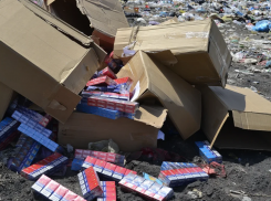 Анапские полицейские в Тамани уничтожили 45 тысяч пачек «левого» табака 