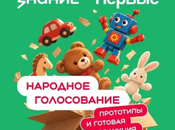 Анапская игра для развития речи вышла в финал федерального конкурса