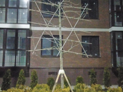 Шедевр топиарного искусства появился на Анапском шоссе курорта