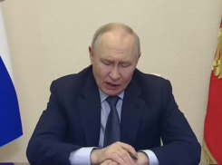 «Пытаемся согреть море настроением»: в Анапе отчитались Путину о подготовке к сезону