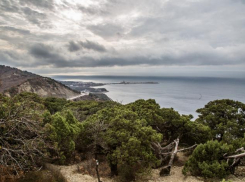 Как затронула Анапу реализация проекта туристского кластера «Абрау-Утриш»?