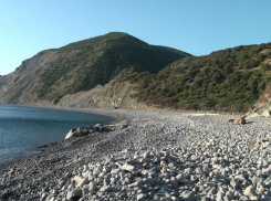 В Утрише под Анапой пройдёт необычная экологическая акция 