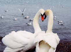 Анапа вновь вошла в топ городов для романтических поездок 