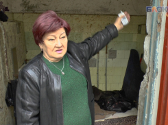 В Анапе бомжи съели двух котов прямо под окнами жильцов