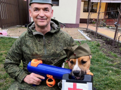 В Анапе прошёл конкурс, где победитель со своим хозяином и в огонь и в воду!